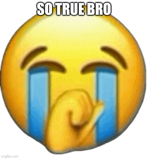 son emoji | So true bro | image tagged in son emoji | made w/ Imgflip meme maker