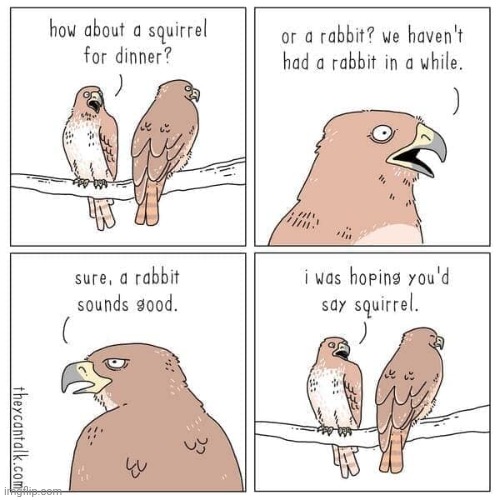 Rabbit, Squirrel | image tagged in rabbit,squirrel,dinner,comics,comics/cartoons,animals | made w/ Imgflip meme maker