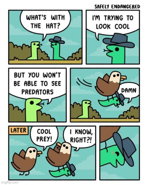 Hat | image tagged in hat,prey,predators,comics,comics/cartoons,snake | made w/ Imgflip meme maker