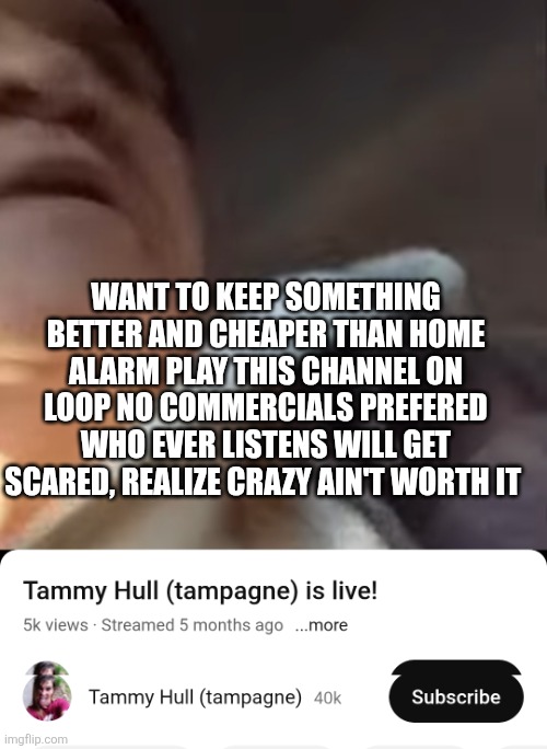 Alarm system | Want to keep something better and cheaper than home alarm play this channel on loop no commercials prefered who ever listens will get scared, realize crazy ain't worth it | image tagged in parody | made w/ Imgflip meme maker