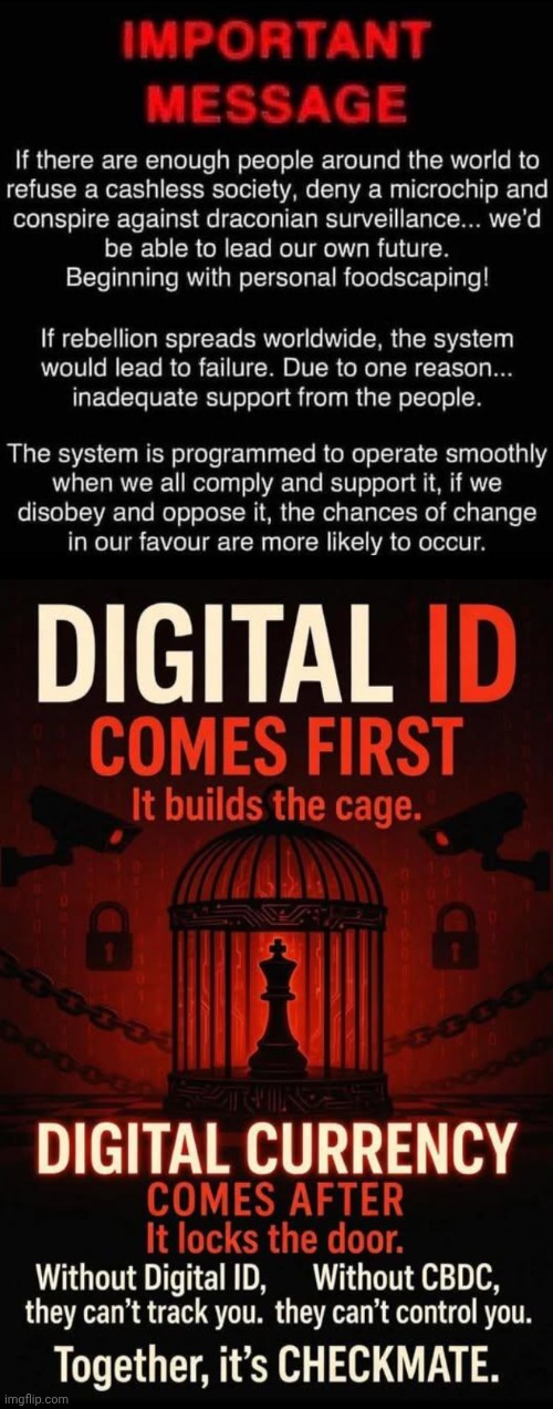 Digital ID is the key to the threat | image tagged in img 61 jpeg,the amazing digital circus,prison | made w/ Imgflip meme maker