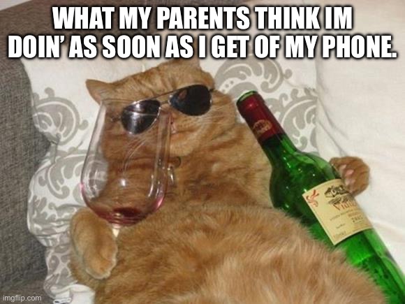Funny Cat Birthday | What my parents think im doin’ as soon as I get of my phone. | image tagged in funny cat birthday,funny,funny memes,memes | made w/ Imgflip meme maker