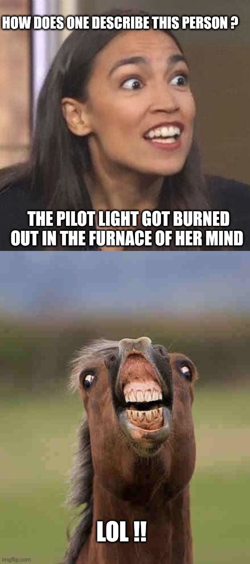AOC memes | How does one describe this person ? The pilot light got burned out in the furnace of her mind; Lol !! | image tagged in aoc jpg,horse face | made w/ Imgflip meme maker