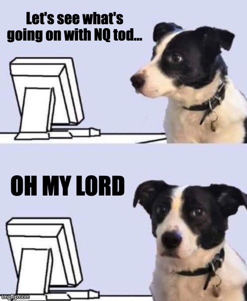 What's going on with the NQ today | Let's see what's going on with NQ tod... OH MY LORD | image tagged in good lord dog | made w/ Imgflip meme maker