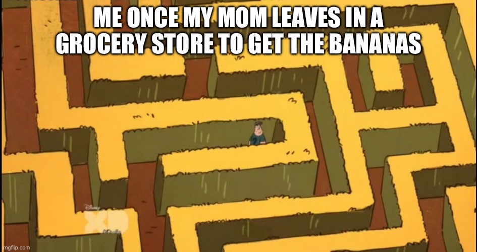 Lost in a Corn Maze | Me once my mom leaves in a grocery store to get the bananas | image tagged in lost in a corn maze,memes,funny memes,funny | made w/ Imgflip meme maker