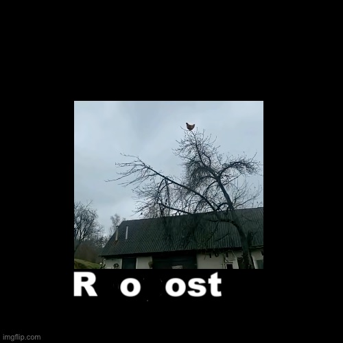 What does MS_memer_group know me for? | image tagged in what does ms_memer_group know me for | made w/ Imgflip meme maker