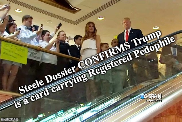 Steele Dossier CONFIRMS Trump is a card carrying Registered Pedophile | made w/ Imgflip meme maker