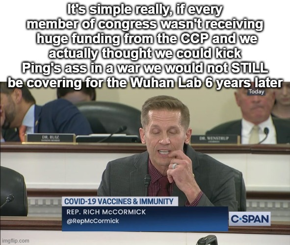 It's simple really, if every member of congress wasn't receiving  huge funding from the CCP and we actually thought we could kick Ping's ass | made w/ Imgflip meme maker