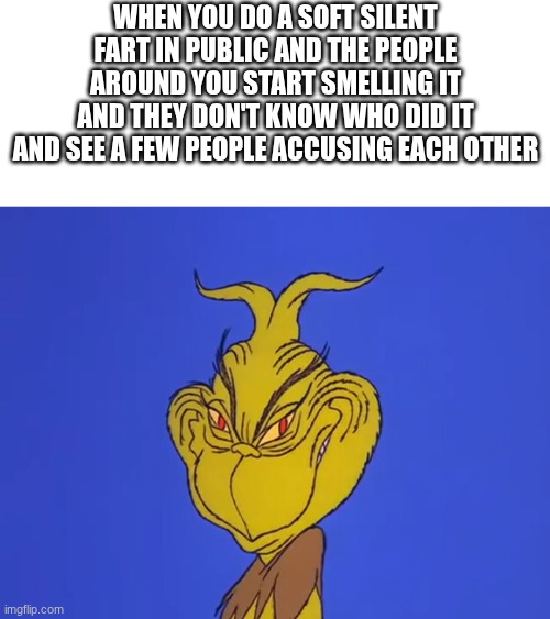 The mall for example..... (because I like malls) | when you do a soft silent fart in public and the people around you start smelling it and they don't know who did it and see a few people accusing each other | image tagged in grinch evil face,public,silent,soft,fart | made w/ Imgflip meme maker