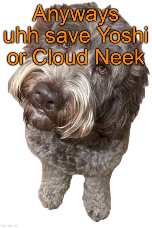 Northers Dog (Transparent) | Anyways uhh save Yoshi or Cloud Neek | image tagged in northers dog transparent,voting game s19-5 | made w/ Imgflip meme maker