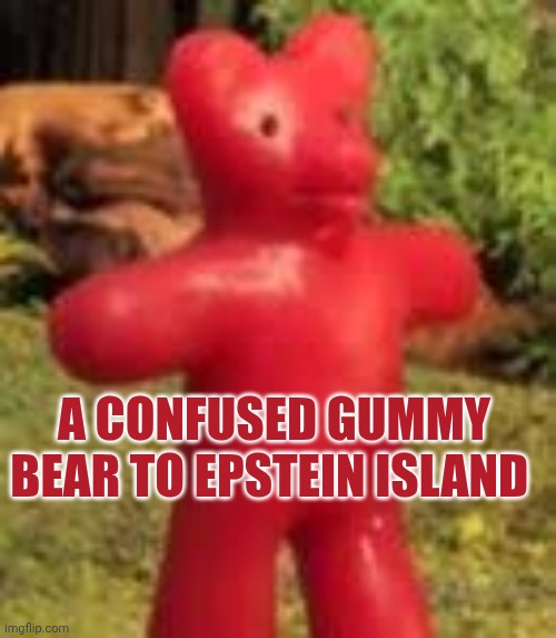 Confused gummy bear | A confused gummy bear to Epstein island | image tagged in confused gummy bear | made w/ Imgflip meme maker