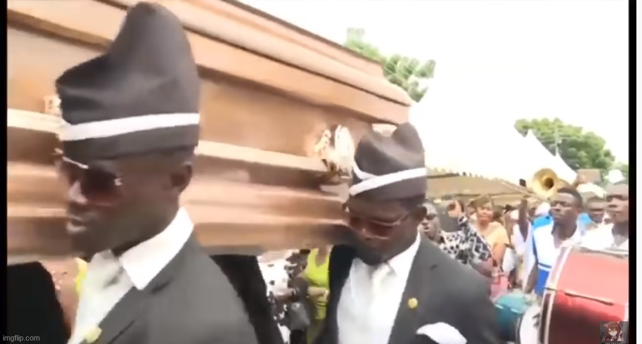 coffin dance | image tagged in coffin dance | made w/ Imgflip meme maker