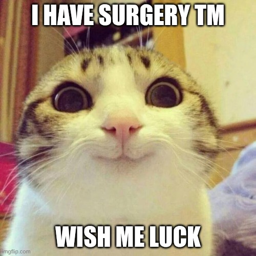 life update | I have surgery tm; wish me luck | image tagged in memes,smiling cat,oh no,hospital | made w/ Imgflip meme maker