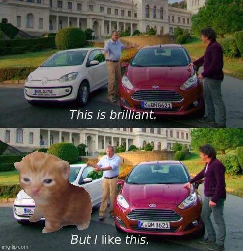 This Is Brilliant But I Like This | image tagged in this is brilliant but i like this | made w/ Imgflip meme maker