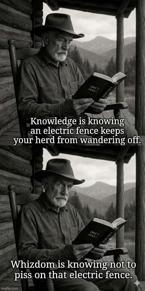 Pee time! | Knowledge is knowing an electric fence keeps your herd from wandering off. Whizdom is knowing not to piss on that electric fence. | image tagged in pee time | made w/ Imgflip meme maker