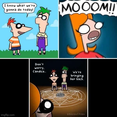 Phineas and Ferb | image tagged in phineas and ferb,comics,comics/cartoons,candice,phineas,ferb | made w/ Imgflip meme maker