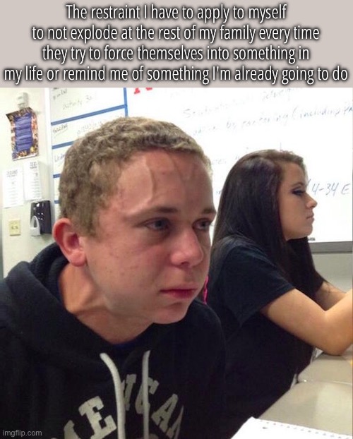 My mom is especially guilty of this. No mom, I don't care, you do not remotely understand what I'm doing | The restraint I have to apply to myself to not explode at the rest of my family every time they try to force themselves into something in my life or remind me of something I'm already going to do | image tagged in angery boi,memes,relatable | made w/ Imgflip meme maker
