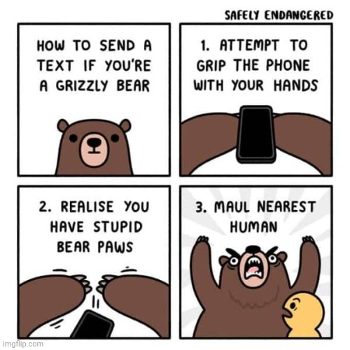 Grizzly Bear | image tagged in grizzly bear,bears,bear,comics,comics/cartoons,human | made w/ Imgflip meme maker