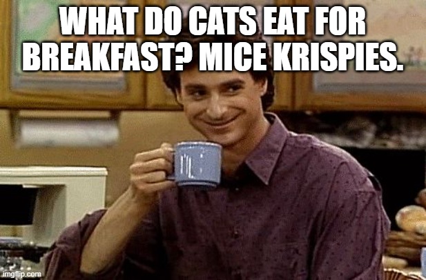 knee slapper | What do cats eat for breakfast? Mice Krispies. | image tagged in dad joke | made w/ Imgflip meme maker