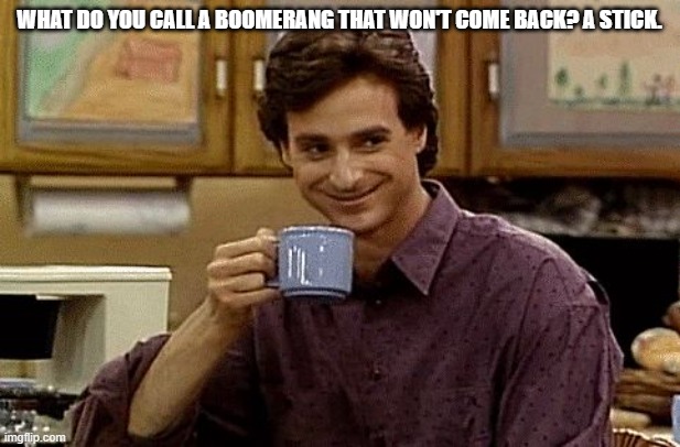 knee slapper 3 | What do you call a boomerang that won't come back? A stick. | image tagged in dad joke | made w/ Imgflip meme maker