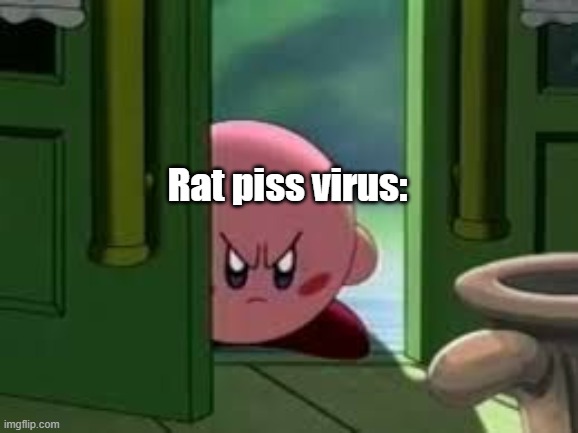 just when covid was over | Rat piss virus: | image tagged in memes,pissed off kirby,serious,hantavirus,2020s,oh no | made w/ Imgflip meme maker