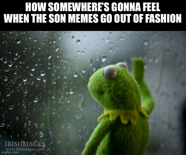 Bro posted so many o em just for them to be called cringe in a few days(WE are sliming out sirechessy) | How somewhere’s gonna feel when the son memes go out of fashion | image tagged in kermit window | made w/ Imgflip meme maker