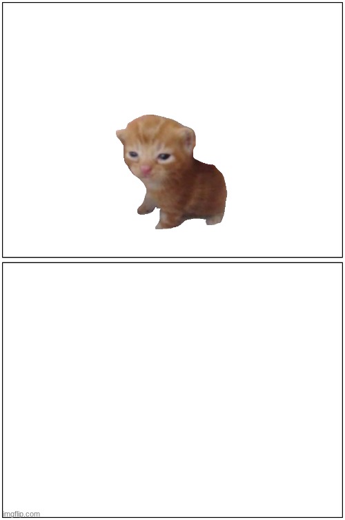 double blank | image tagged in double blank | made w/ Imgflip meme maker