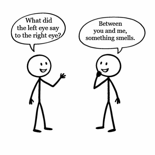 Between you and me, something smells. What did the left eye say to the right eye? | image tagged in template jpg | made w/ Imgflip meme maker