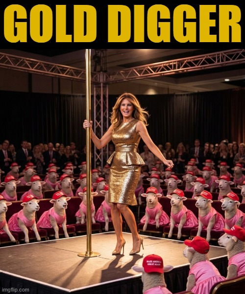 GOLD DIGGER | GOLD DIGGER | image tagged in melania trump,maga,make america great again,stripper pole,stripper,gold digger | made w/ Imgflip meme maker
