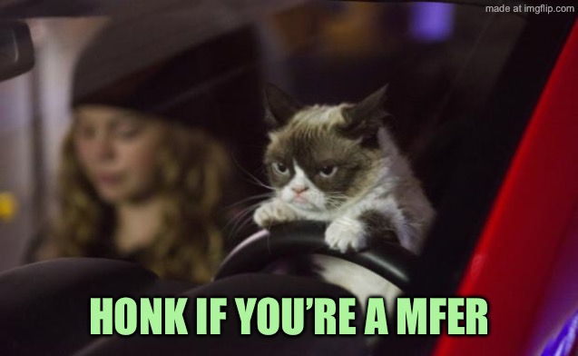 Grumpy Cat Driving | Honk if you’re a mfer | image tagged in grum,py cat,driving | made w/ Imgflip meme maker