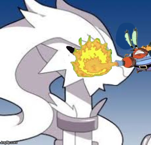 Verita the Reshiram very shocked | image tagged in verita the reshiram very shocked | made w/ Imgflip meme maker