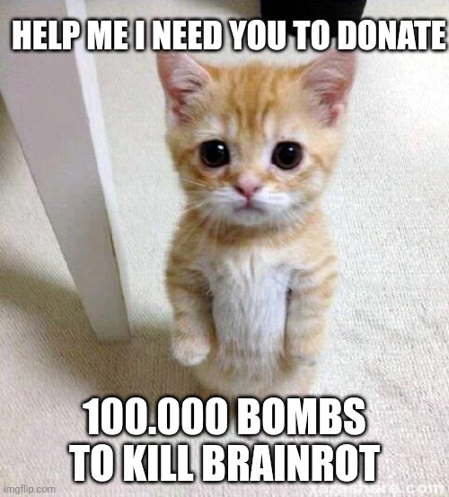 twinamon bun thats a decimal not a comma | Help me I need you to Donate; 100.000 bombs to kill brainrot | image tagged in memes,cute cat | made w/ Imgflip meme maker