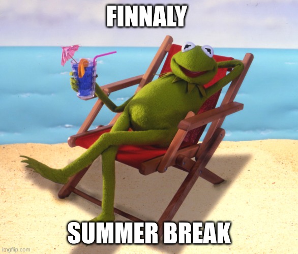 wow | finnaly; summer break | image tagged in kermit vacation | made w/ Imgflip meme maker