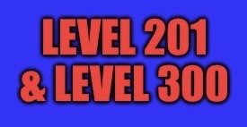 Level 201 & Level 300 Blank Meme Template