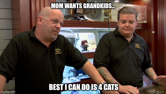 Pawn Stars Best I Can Do | Mom wants grandkids... Best I can do is 4 cats | image tagged in pawn stars best i can do | made w/ Imgflip meme maker