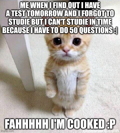 Cute Cat Meme | me when I find out I have a test tomorrow and I forgot to studie but I can't studie in time because I have to do 50 questions :|; fahhhhh i'm cooked :p | image tagged in memes,cute cat | made w/ Imgflip meme maker
