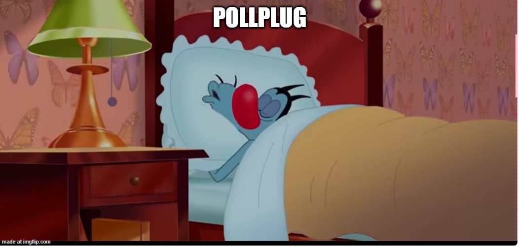https://strawpoll.com/Dwyo380exyA | Pollplug | image tagged in do not splash water on this | made w/ Imgflip meme maker