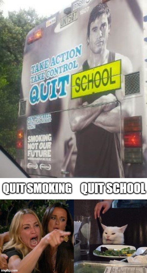 Just Quit! | quit school; Quit smoking | image tagged in a35950295f65e849342204f73a5764c8 jpg,memes,woman yelling at cat | made w/ Imgflip meme maker