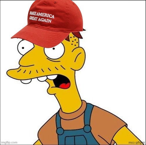 Some Kind Of MAGA Moron | image tagged in some kind of maga moron | made w/ Imgflip meme maker