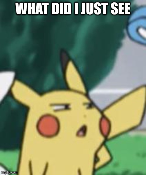 confuseddd.jpg | what did I just see | image tagged in confuseddd jpg | made w/ Imgflip meme maker