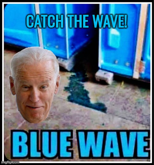 Catch the Wave! | Catch the Wave! | image tagged in blue wave,weirdo,biden | made w/ Imgflip meme maker