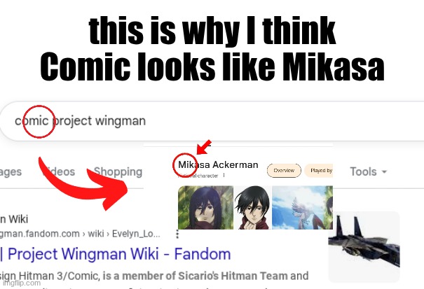 WILL  ANYONE HEAR ME OUT ON THIS THEORY | this is why I think Comic looks like Mikasa | image tagged in screenshot 2026-05-13 1 24 52 pm png | made w/ Imgflip meme maker