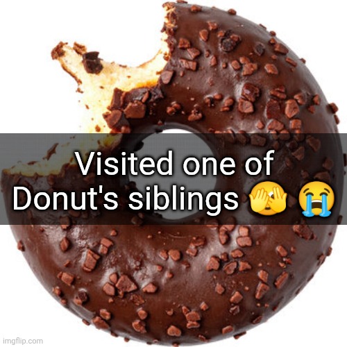Donut | Visited one of Donut's siblings 🫣 😭 | image tagged in donut | made w/ Imgflip meme maker
