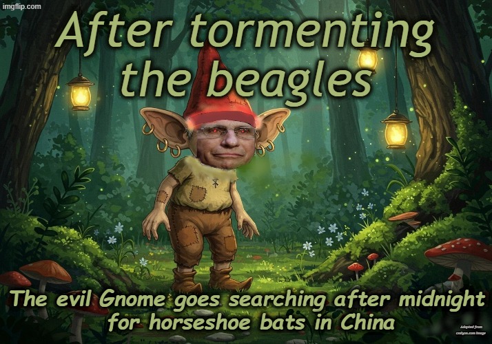 Fauci Gnome | After tormenting the beagles; The evil Gnome goes searching after midnight
 for horseshoe bats in China; Adapted from craiyon.com Image | made w/ Imgflip meme maker