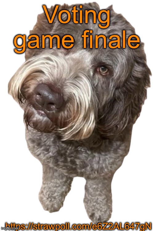 https://strawpoll.com/e6Z2AL647gN | Voting game finale; https://strawpoll.com/e6Z2AL647gN | image tagged in northers dog transparent | made w/ Imgflip meme maker
