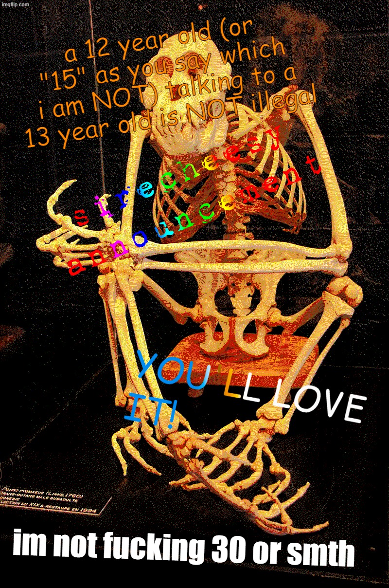 sirecheesy announcement temp | a 12 year old (or "15" as you say which i am NOT) talking to a 13 year old is NOT illegal; im not fucking 30 or smth | image tagged in sirecheesy announcement temp | made w/ Imgflip meme maker