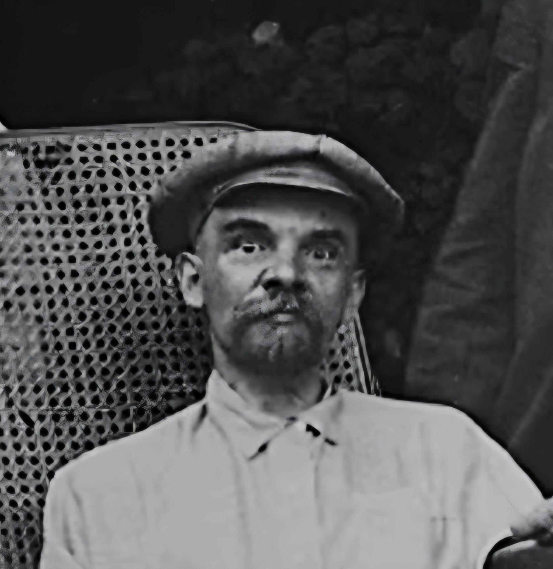 Lenin Blank Meme Template