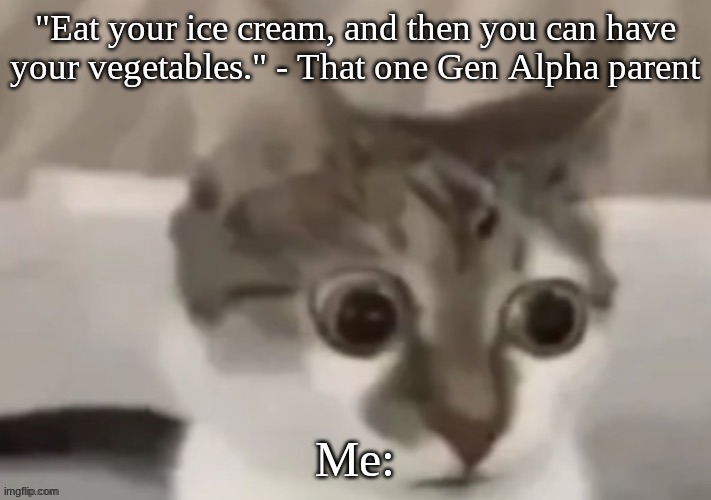 I just can't. | "Eat your ice cream, and then you can have your vegetables." - That one Gen Alpha parent; Me: | image tagged in bombastic side eye cat,parents,gen alpha,certified bruh moment,wtf,oh wow are you actually reading these tags | made w/ Imgflip meme maker