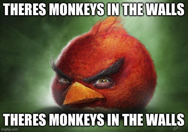 Realistic Angry Birds Red | theres monkeys in the walls; theres monkeys in the walls | image tagged in realistic angry birds red | made w/ Imgflip meme maker