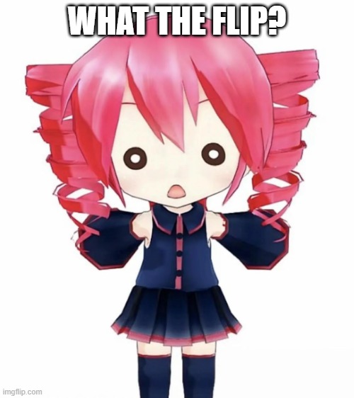 WHAT THE FLIP? | image tagged in imagem_2026-05-13_184352995 png | made w/ Imgflip meme maker
